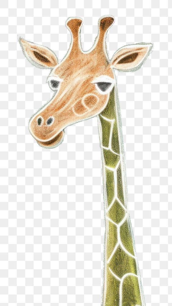 chalk color sketch of a simple *african style giraffe*, isolated on greenboard background --ar 3:2 --style 4fWahIQB
