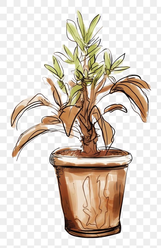 PNG Potted indoor garden drawing bonsai sketch. AI generated Image by rawpixel.