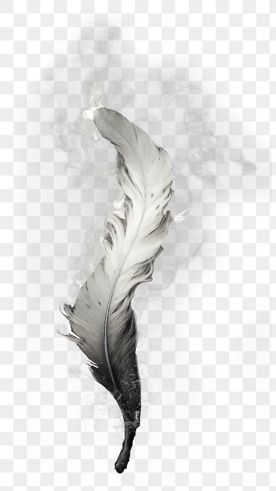 PNG Fire burning black feather white smoke lightweight. AI generated Image by rawpixel.