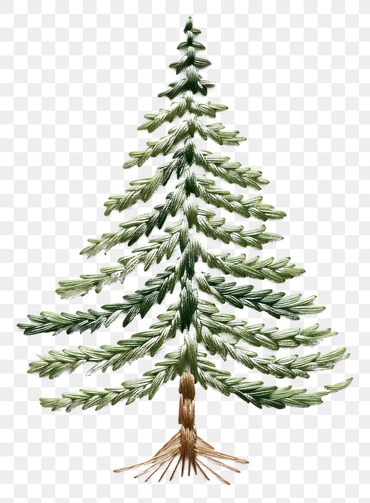 PNG Christmas tree celebration plant pine. AI generated Image by rawpixel.