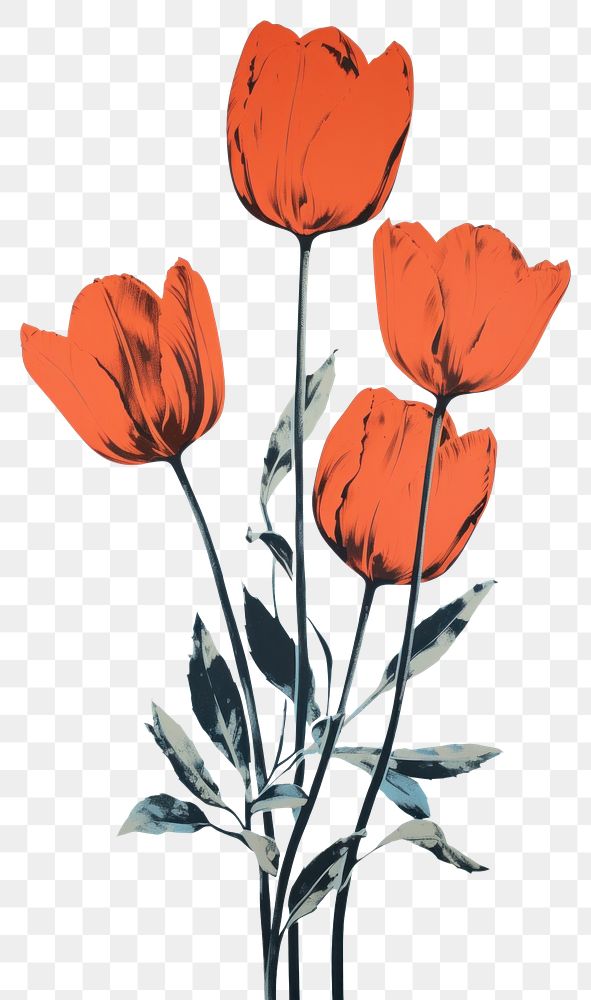 PNG Romantic tulips flower poppy plant. AI generated Image by rawpixel.