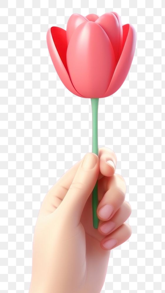 PNG Tulip tulip holding flower. AI generated Image by rawpixel.