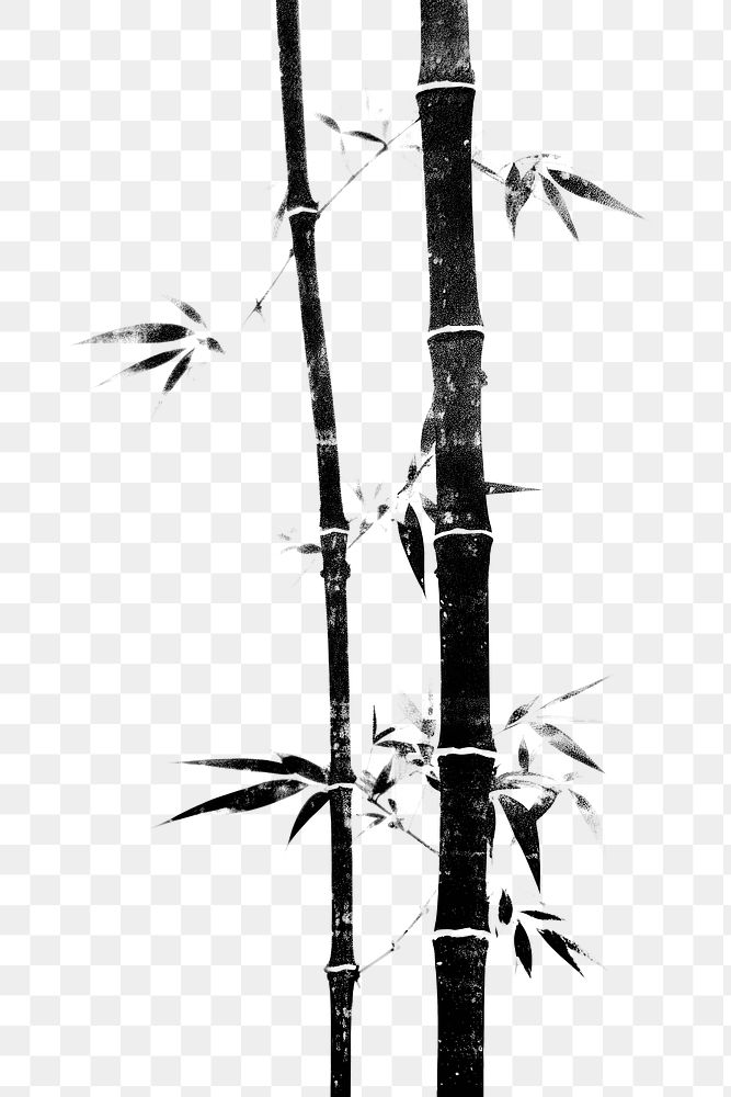 PNG Bamboo plant creativity painting