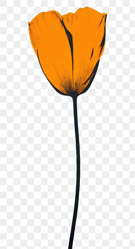PNG Silkscreen of a california poppy flower petal plant inflorescence. AI generated Image by rawpixel.