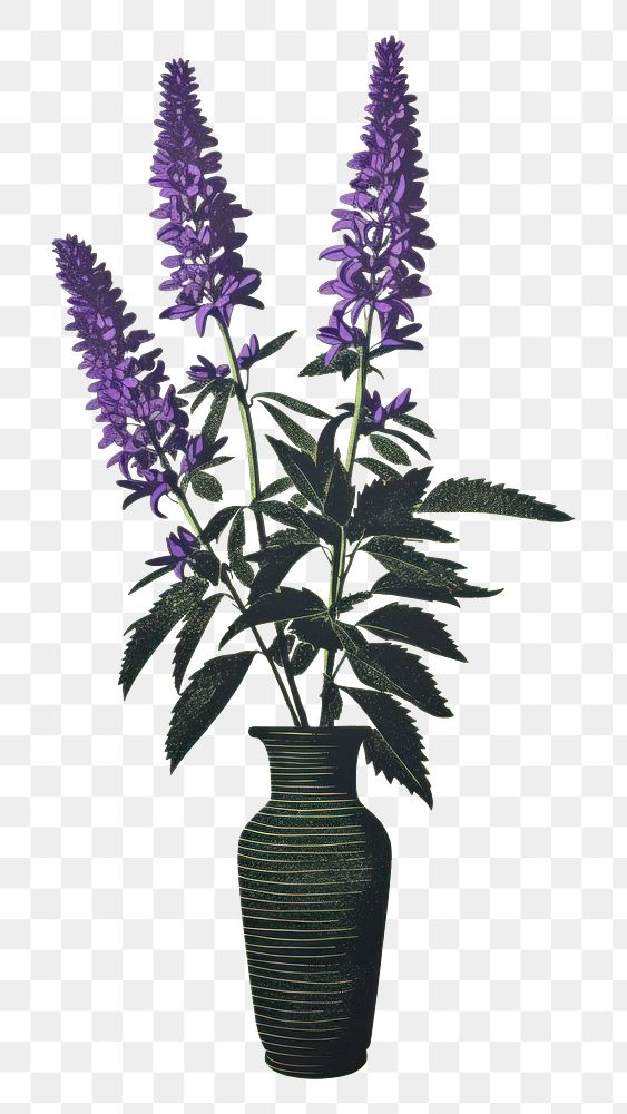 PNG Lavender in vase flower purple plant. AI generated Image by rawpixel.