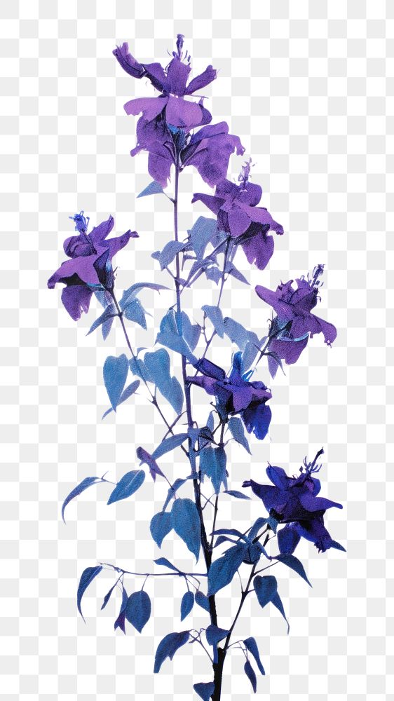 PNG Larkspur purple flower plant. AI generated Image by rawpixel.