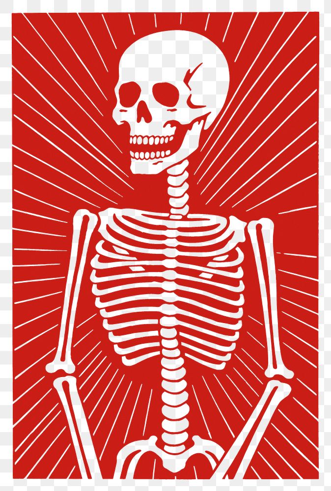 PNG Skeleton creativity cartoon pattern. AI generated Image by rawpixel.