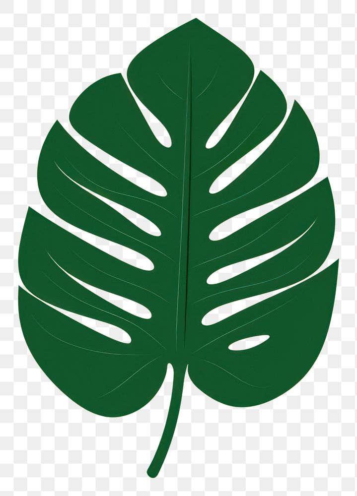 PNG Tropical leaf plant green xanthosoma. AI generated Image by rawpixel.