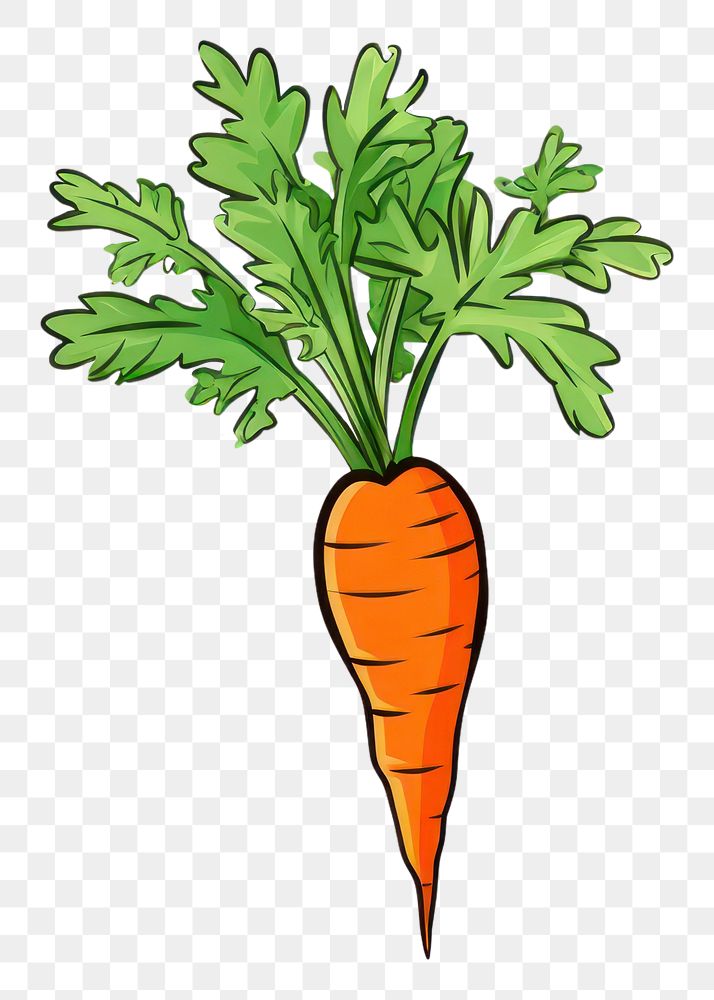 PNG Carrot vegetable plant food. AI generated Image by rawpixel.