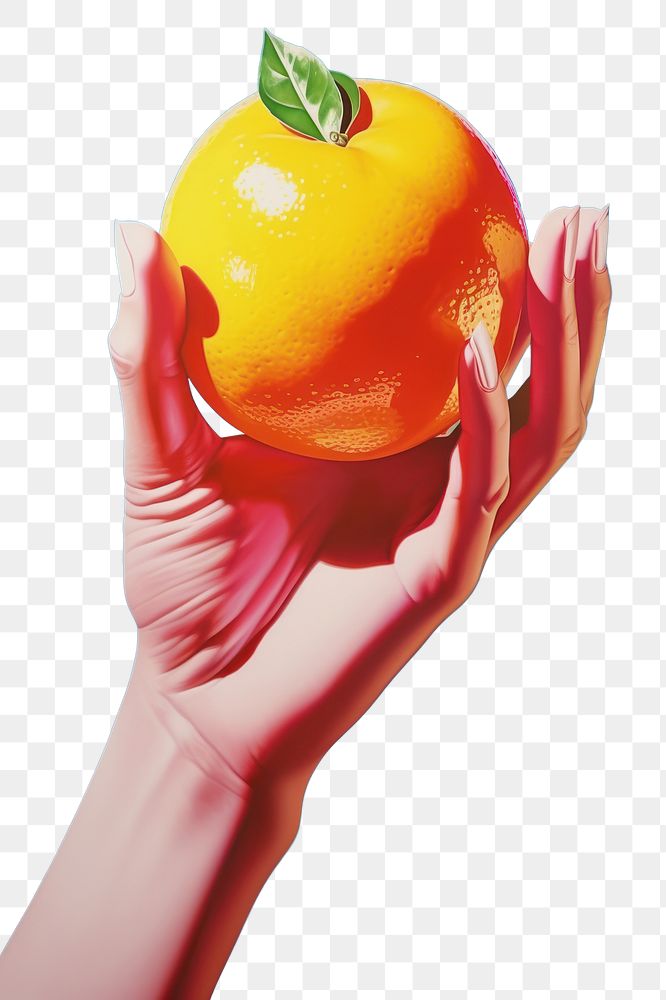 PNG A hand holding a lemon grapefruit produce adult. AI generated Image by rawpixel.