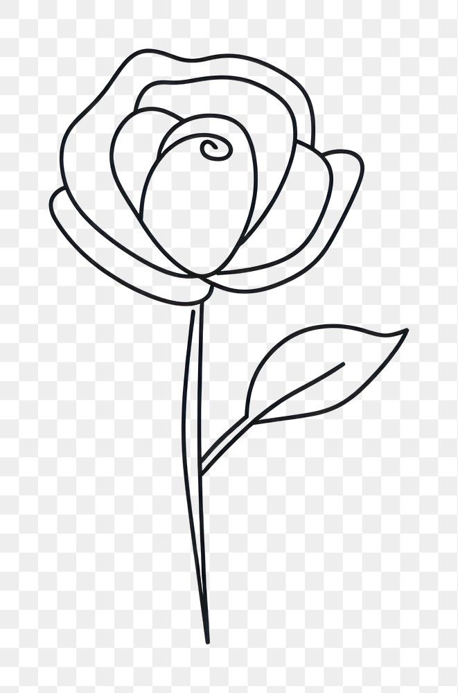 PNG Minimal illustration of rose drawing sketch flower. AI generated Image by rawpixel.