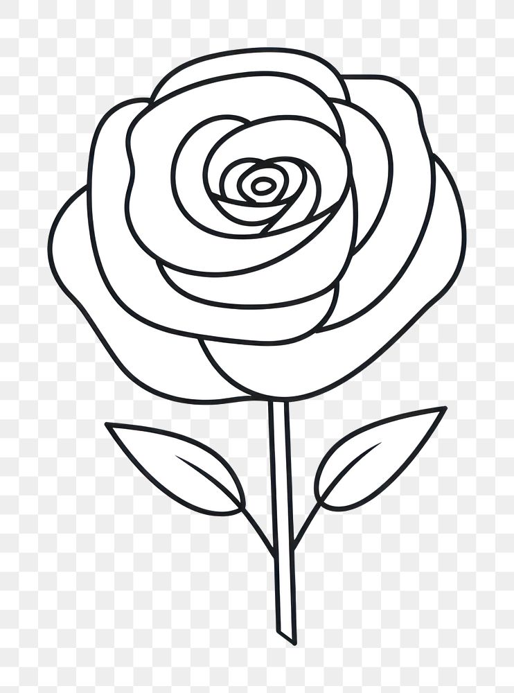 Minimal illustration of rose drawing sketch flower. AI generated Image by rawpixel.
