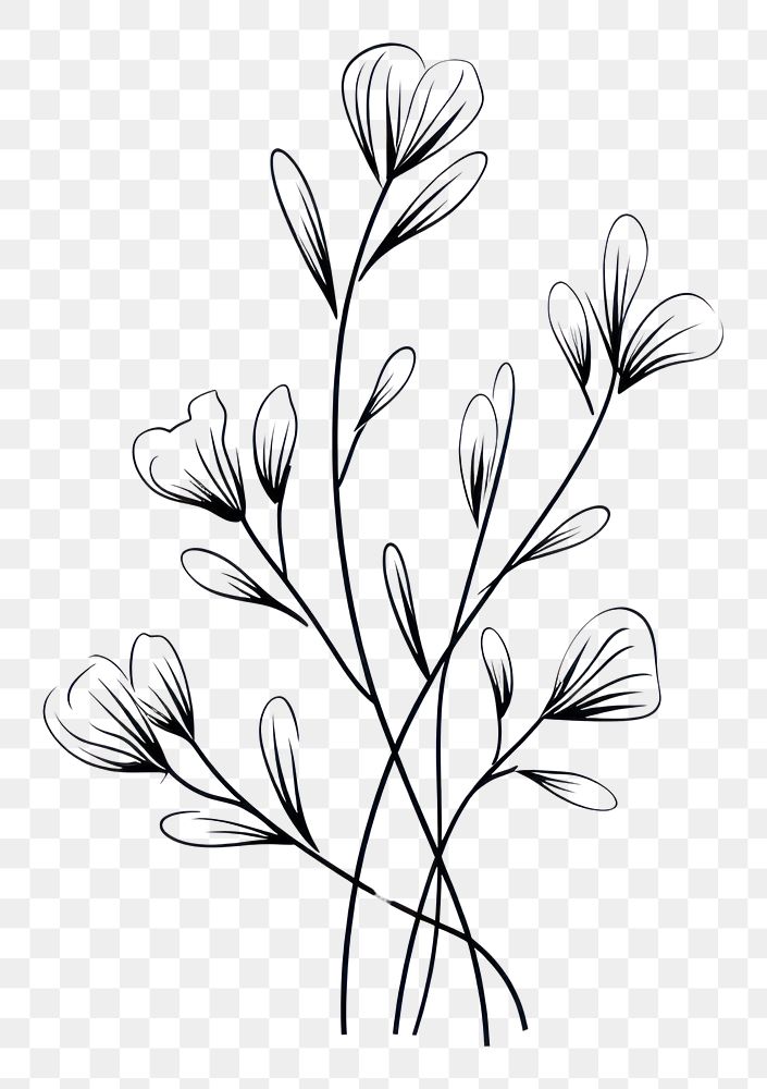 PNG Floral plant pattern drawing