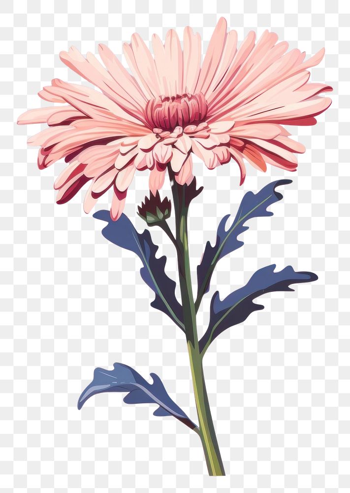 PNG Aster flower petal plant. AI generated Image by rawpixel.