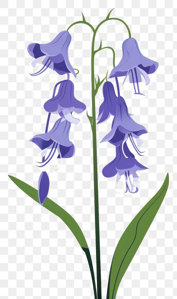 PNG Bluebells flower plant inflorescence. AI generated Image by rawpixel.