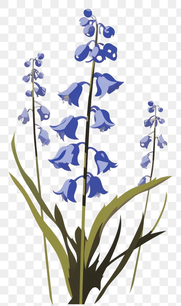 PNG Bluebells flower plant petal. AI generated Image by rawpixel.