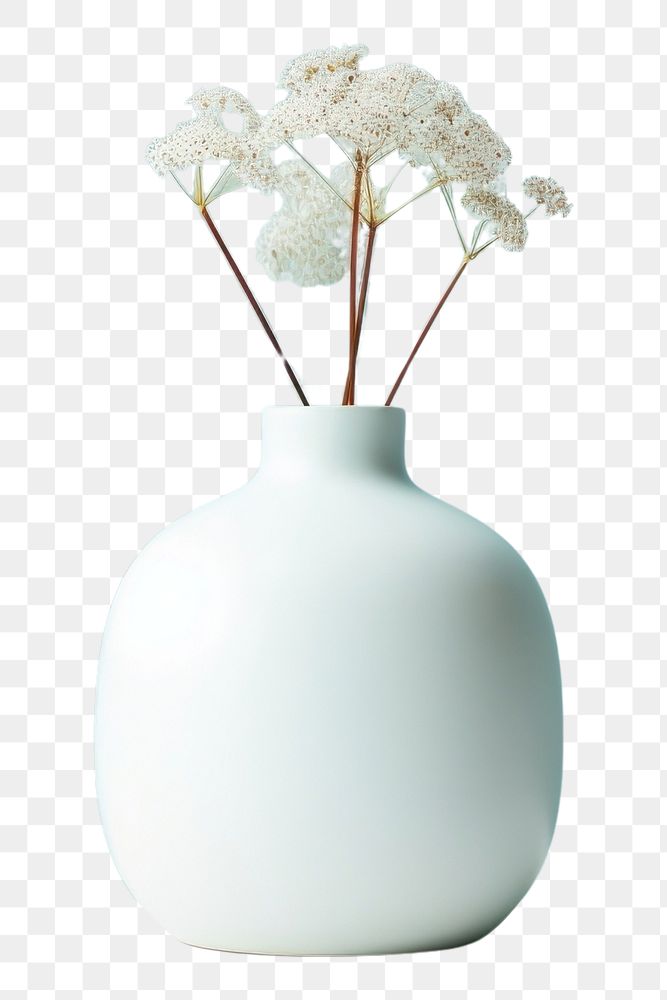 PNG Color cute vase flower plant white. AI generated Image by rawpixel.