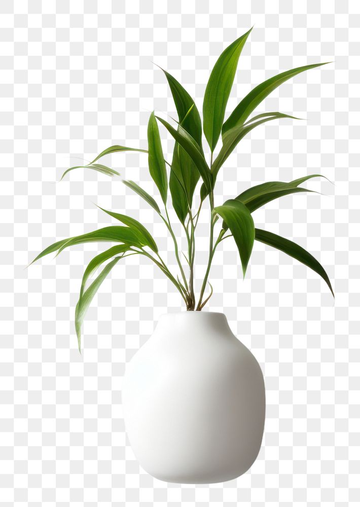 PNG Ceramic pot plant vase leaf wall. AI generated Image by rawpixel.
