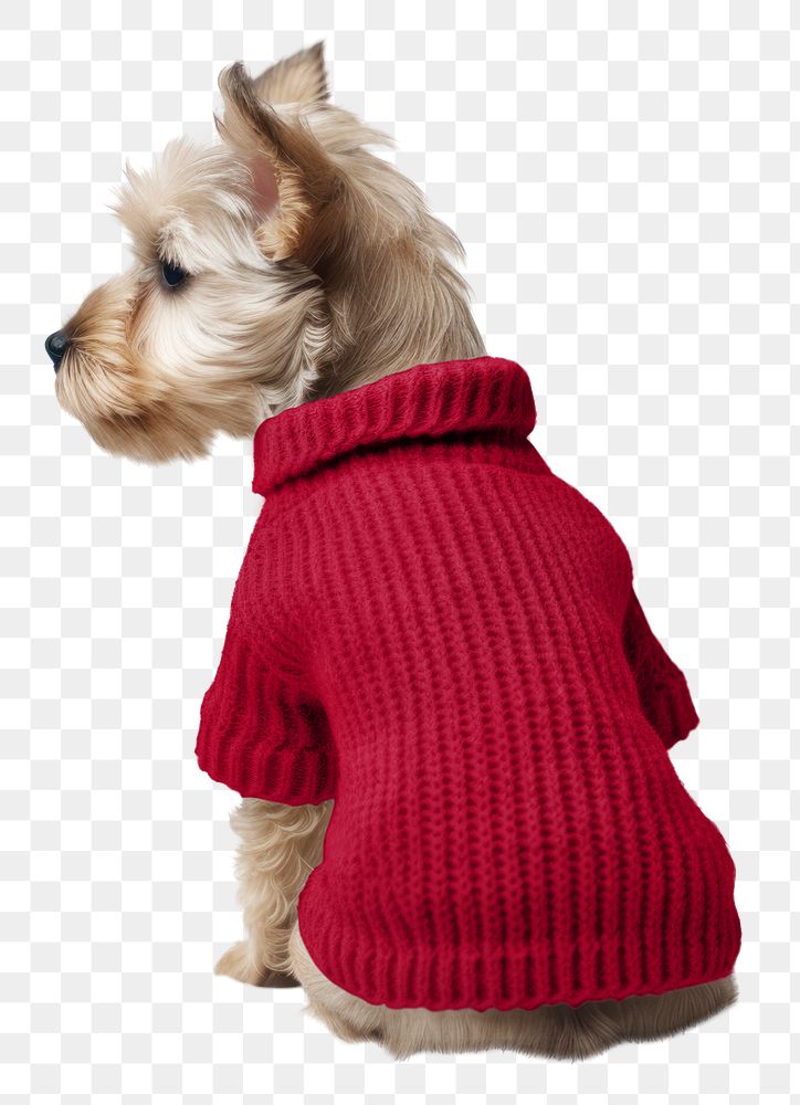 Dog's knitted sweater png, transparent background