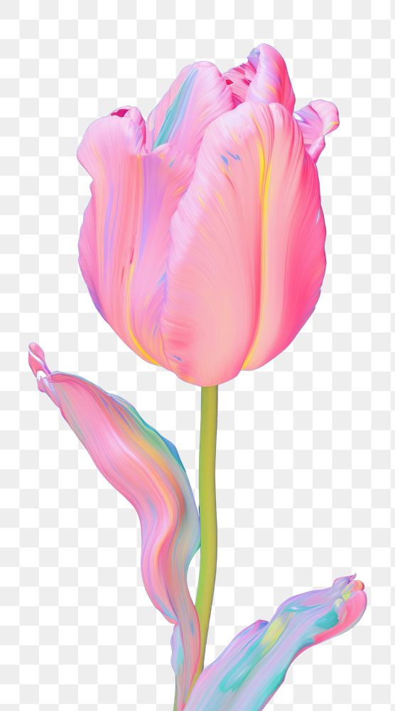 PNG Tulip flower petal plant inflorescence. AI generated Image by rawpixel.