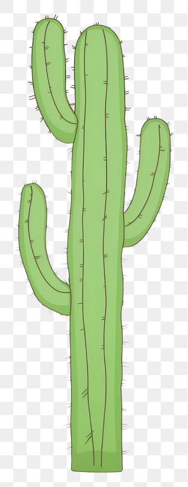 PNG Cactus cartoon plant tranquility. AI generated Image by rawpixel.