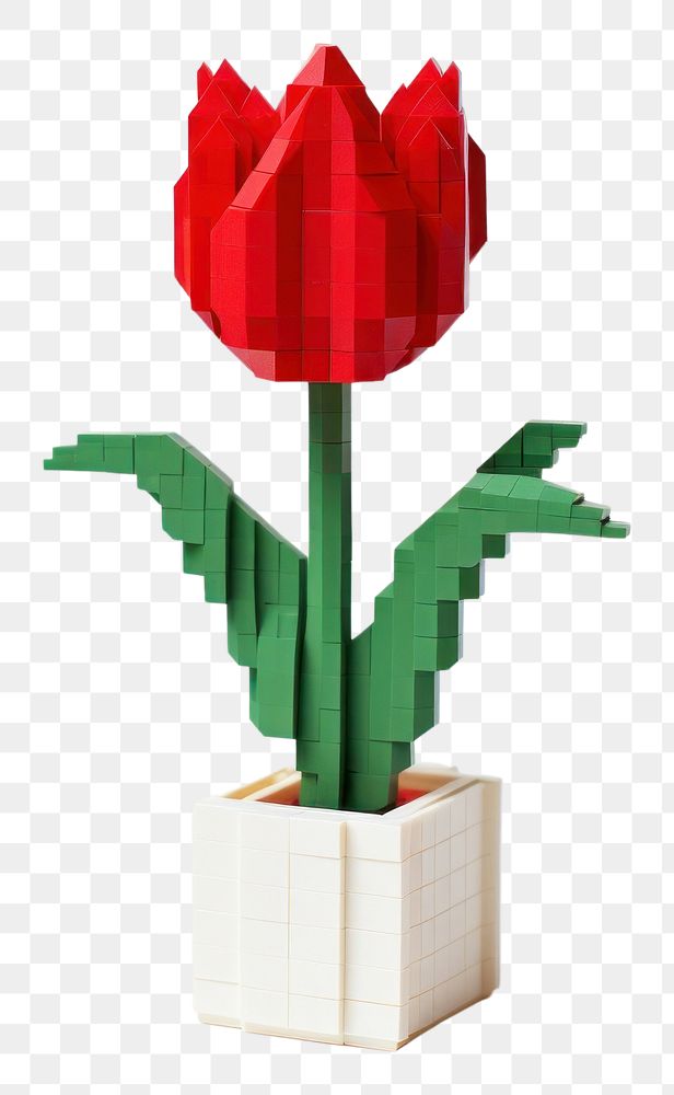 PNG  Tulip flower plant vase. AI generated Image by rawpixel.