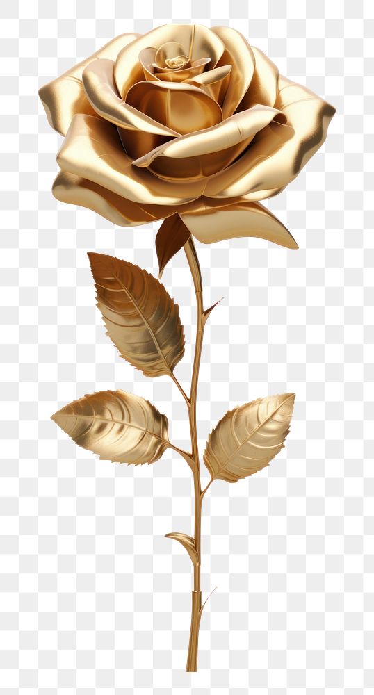 PNG Rose flower plant gold white background