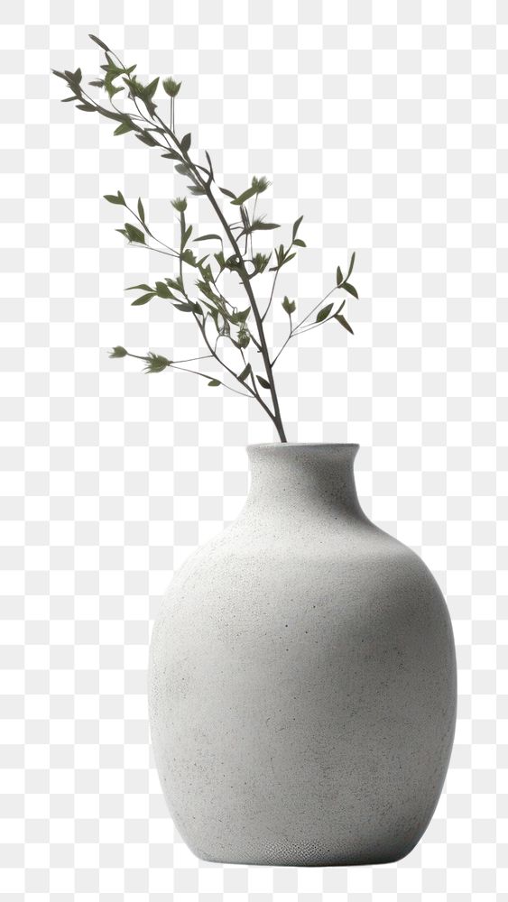 PNG Vase porcelain plant white background. AI generated Image by rawpixel.