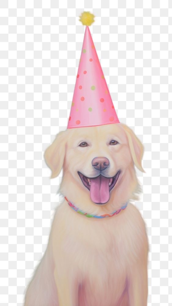 PNG Dogs wearing party hat birthday mammal animal. AI generated Image by rawpixel.