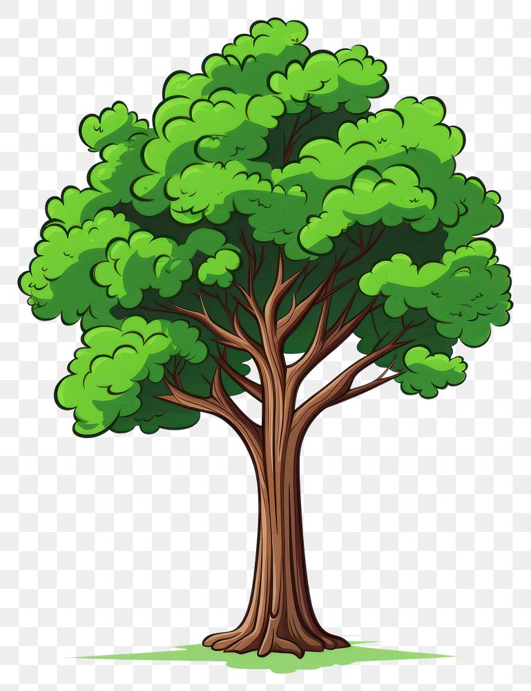 PNG Tree cartoon plant white background. AI generated Image by rawpixel.