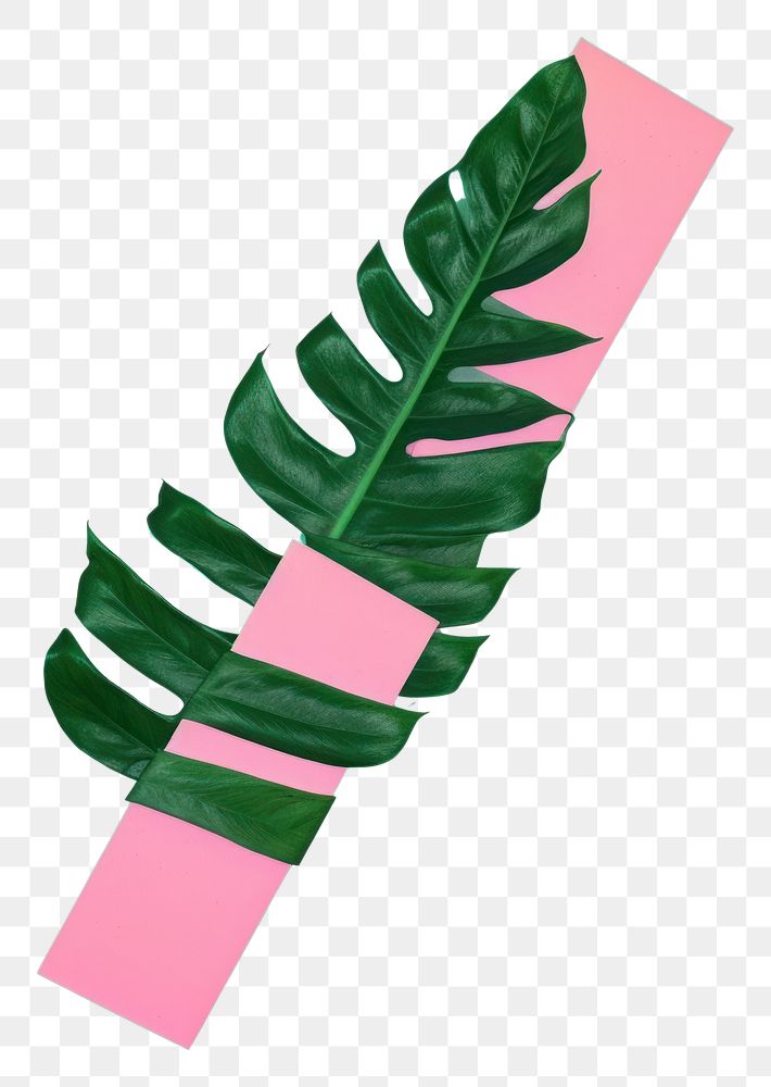 PNG Tropical leave plant leaf art. AI generated Image by rawpixel.