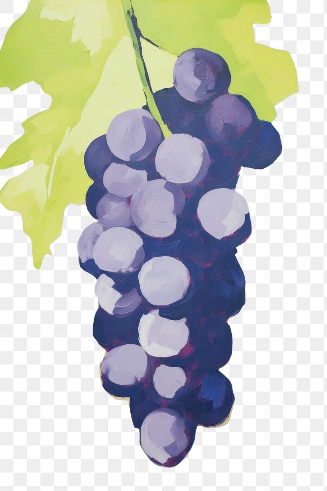 PNG Grape grapes plant food. AI generated Image by rawpixel.