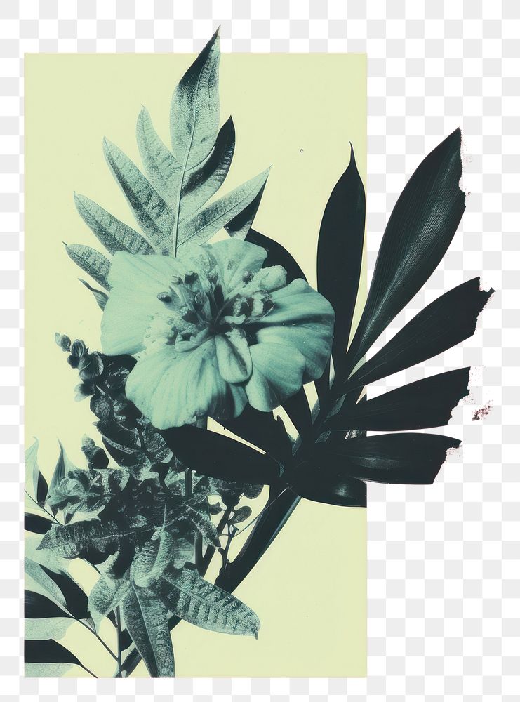 PNG Botanical pattern collage flower. AI generated Image by rawpixel.