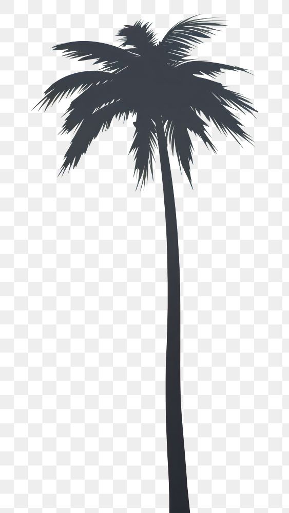 PNG Palm tree moon outdoors nature. AI generated Image by rawpixel.