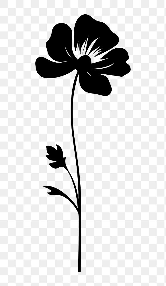 PNG  Flower silhouette plant white