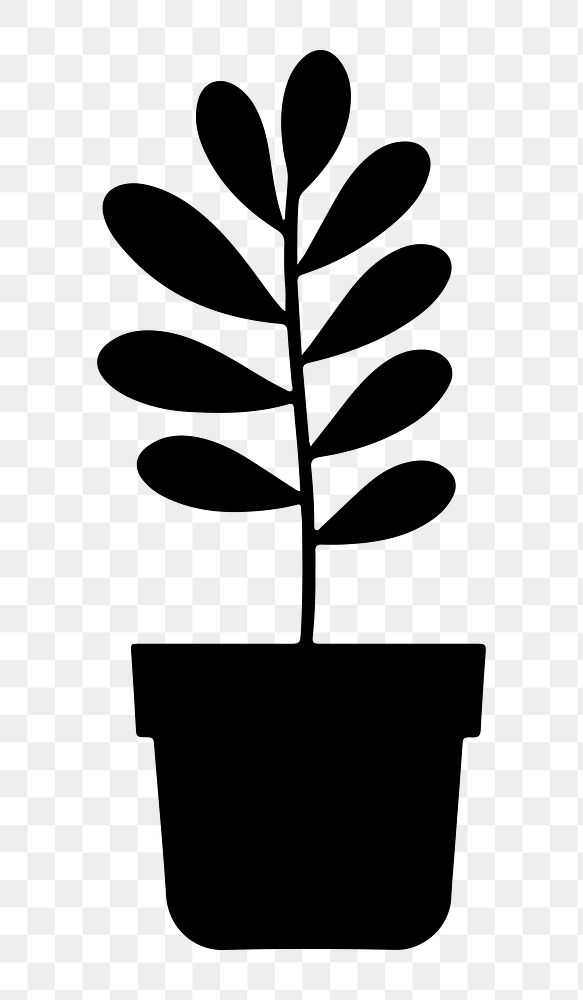 PNG  Plant leaf houseplant flowerpot.