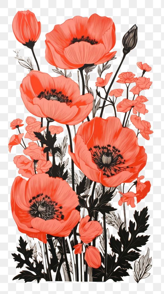 PNG Aesthetic flowers drawing nature poppy. AI generated Image by rawpixel.
