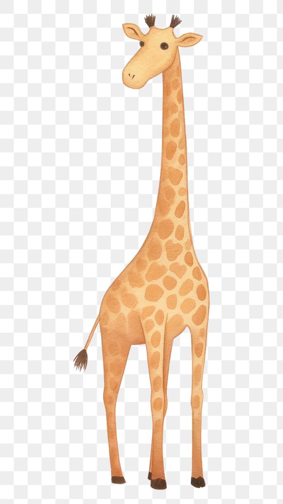 PNG  Giraff wildlife giraffe animal. AI generated Image by rawpixel.