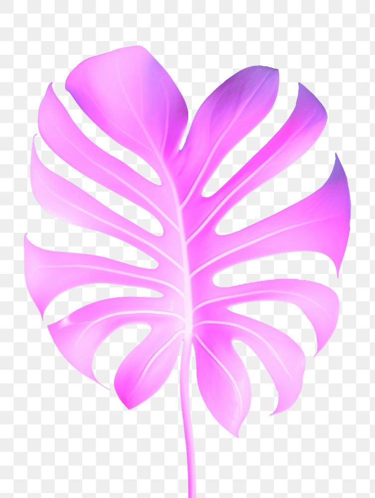 PNG Pastel neon monstera leaf light purple nature. AI generated Image by rawpixel.