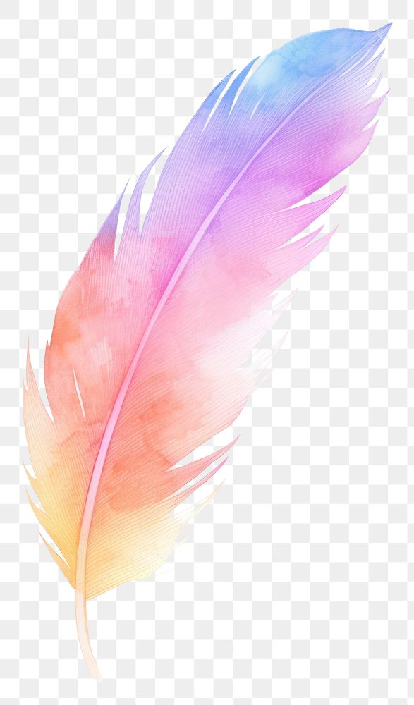 PNG Rainbow feather white background lightweight accessories. AI generated Image by rawpixel.