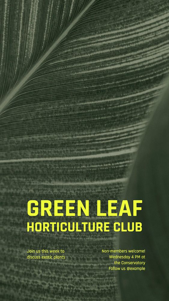 Green leaf club Instagram story template, editable text