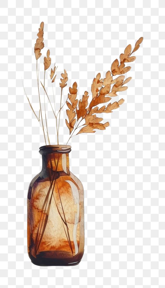 PNG Dried grass flower in a brown bottle pottery plant vase
