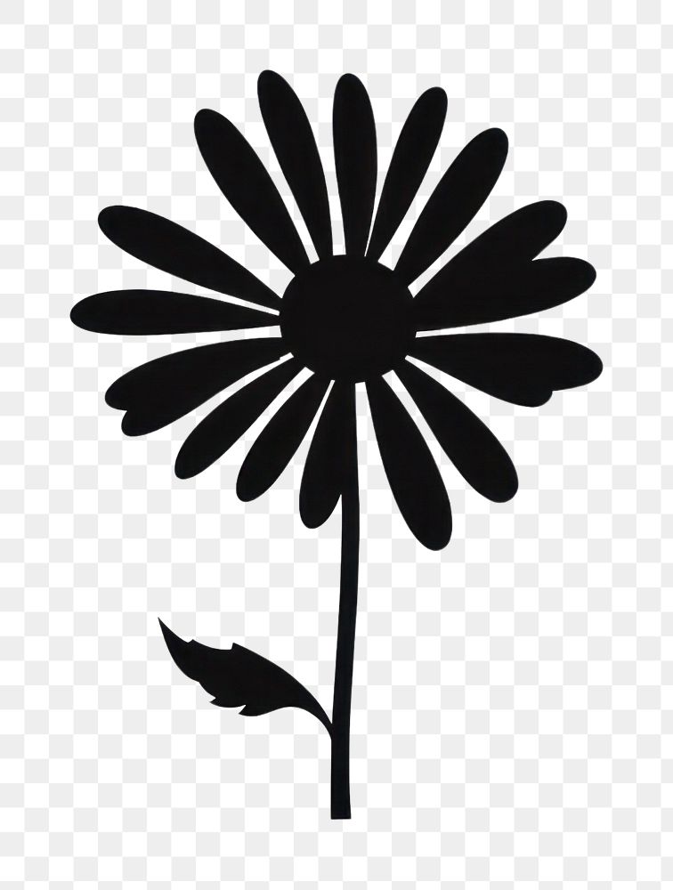 PNG Daisy silhouette asteraceae blossom stencil.