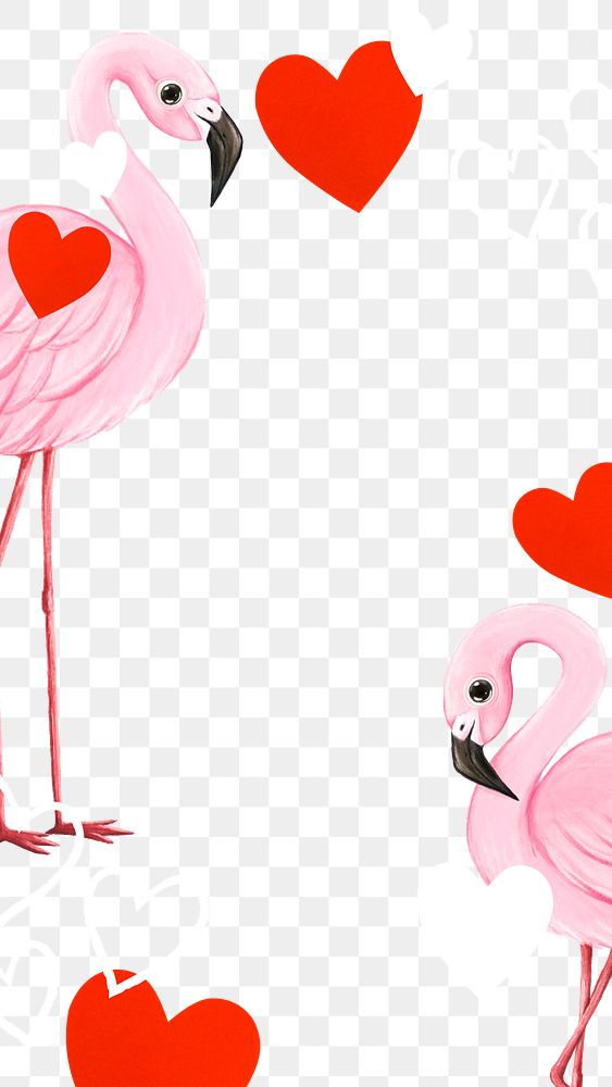 Cute flamingoes png frame, animal illustration, transparent background