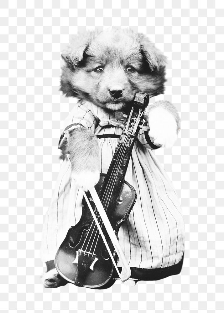 Cute violinist puppy png sticker, transparent background