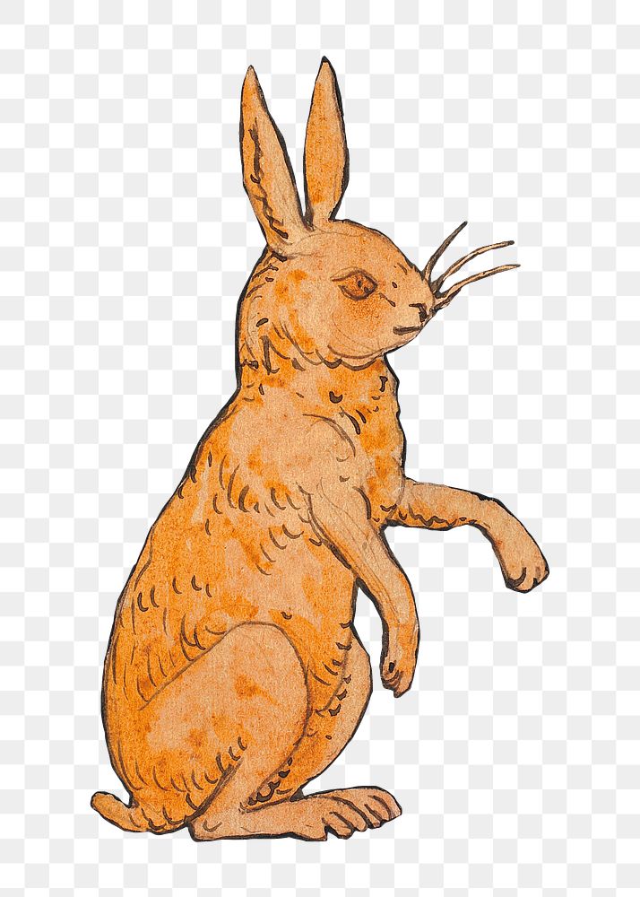 PNG Brown rabbit, vintage animal illustration by P. C. Skovgaard, transparent background. Remixed by rawpixel.