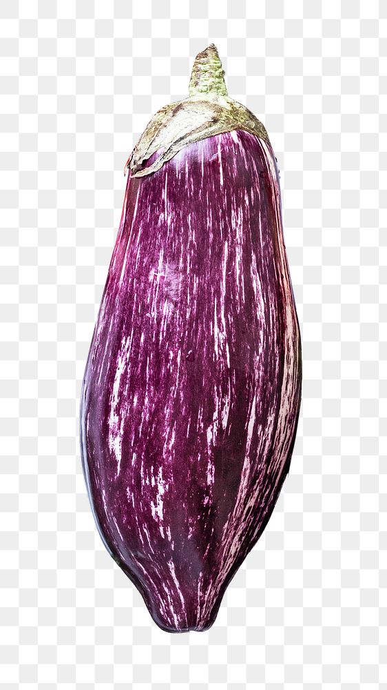 Raw aubergine png, healthy food, transparent background