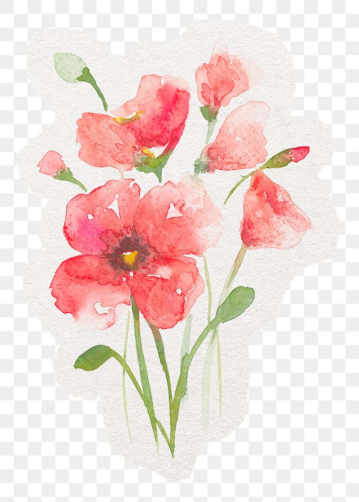 Poppy flower png sticker, watercolor illustration in transparent background