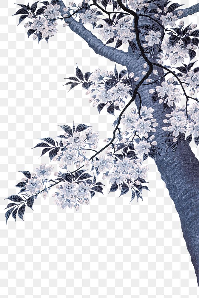 Blue cherry blossom background design element