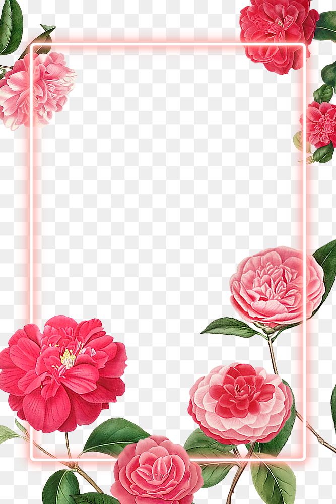 Red and pink camellia flower patterned blank frame transparent png